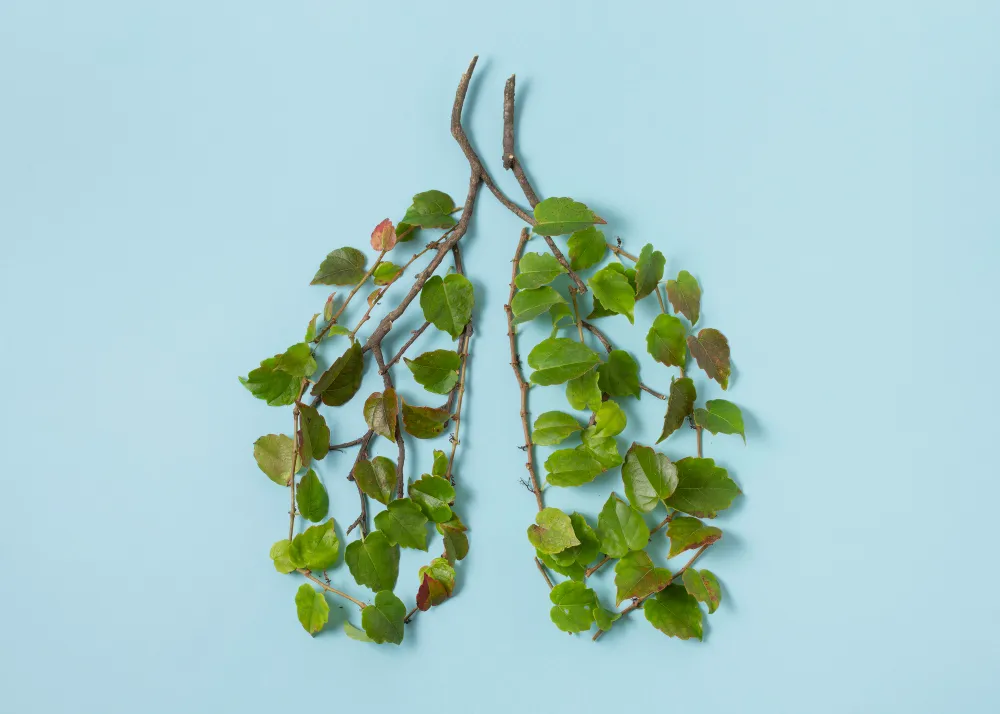 Respiratory Health - Atecam Wellness