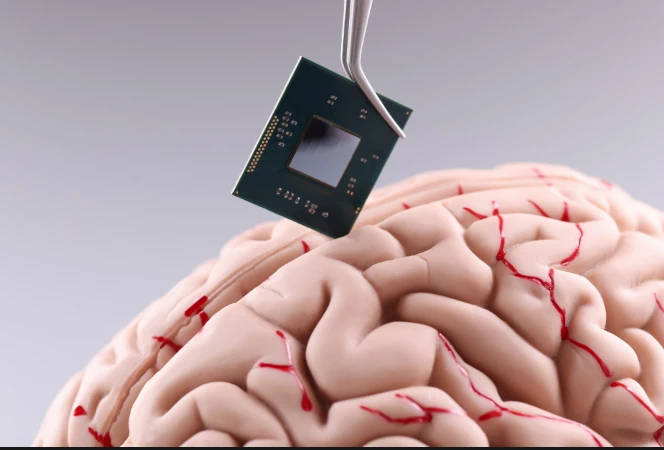 Tips to Prevent Cognitive Function Decline in Older Adults