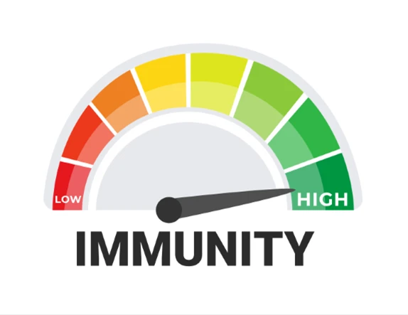 How Sleep Impacts Immunity: Tips for Better Rest