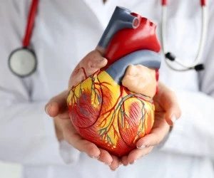 High Potency EPA DHA for Heart Health and Cardiovascular Wellness