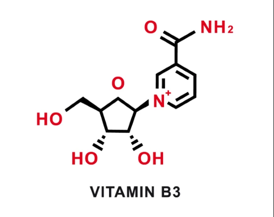 Nicotinamide Riboside Benefits: The Key to Healthy Aging & Anti-Aging Support