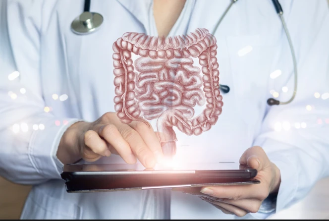 Improve Gut Health with Probiotics and Prebiotics