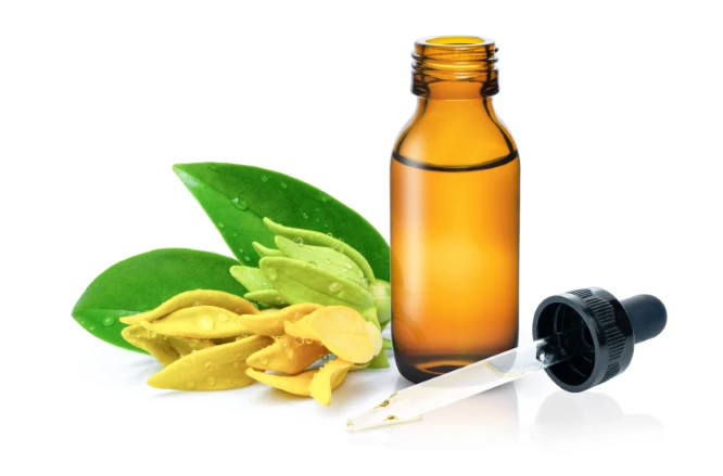 The Ultimate Guide to Essential Aromatherapy Oils and Their Benefits