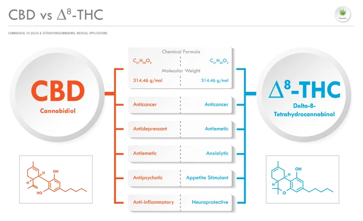 Exploring Cannabinoids Beyond CBD in Cannabis