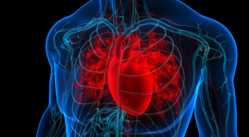 The Ultimate Guide to Heart-Healthy Foods You Should Eat Daily