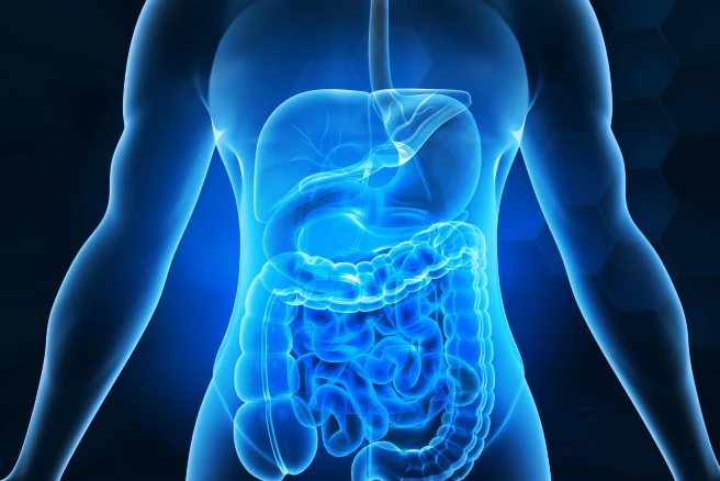 BPC 157 Gastrointestinal Protection and Healing