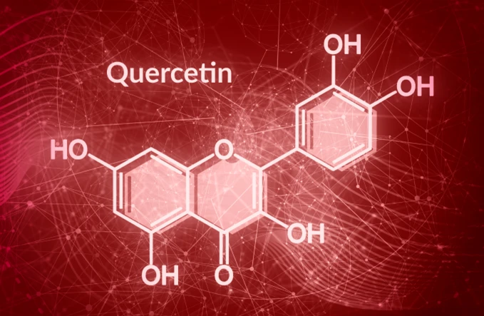 ForestLeaf Quercetin with Bromelain for Natural Allergy Relief