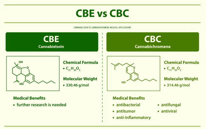 The Science Behind CBD Oil and the Endocannabinoid System Explained